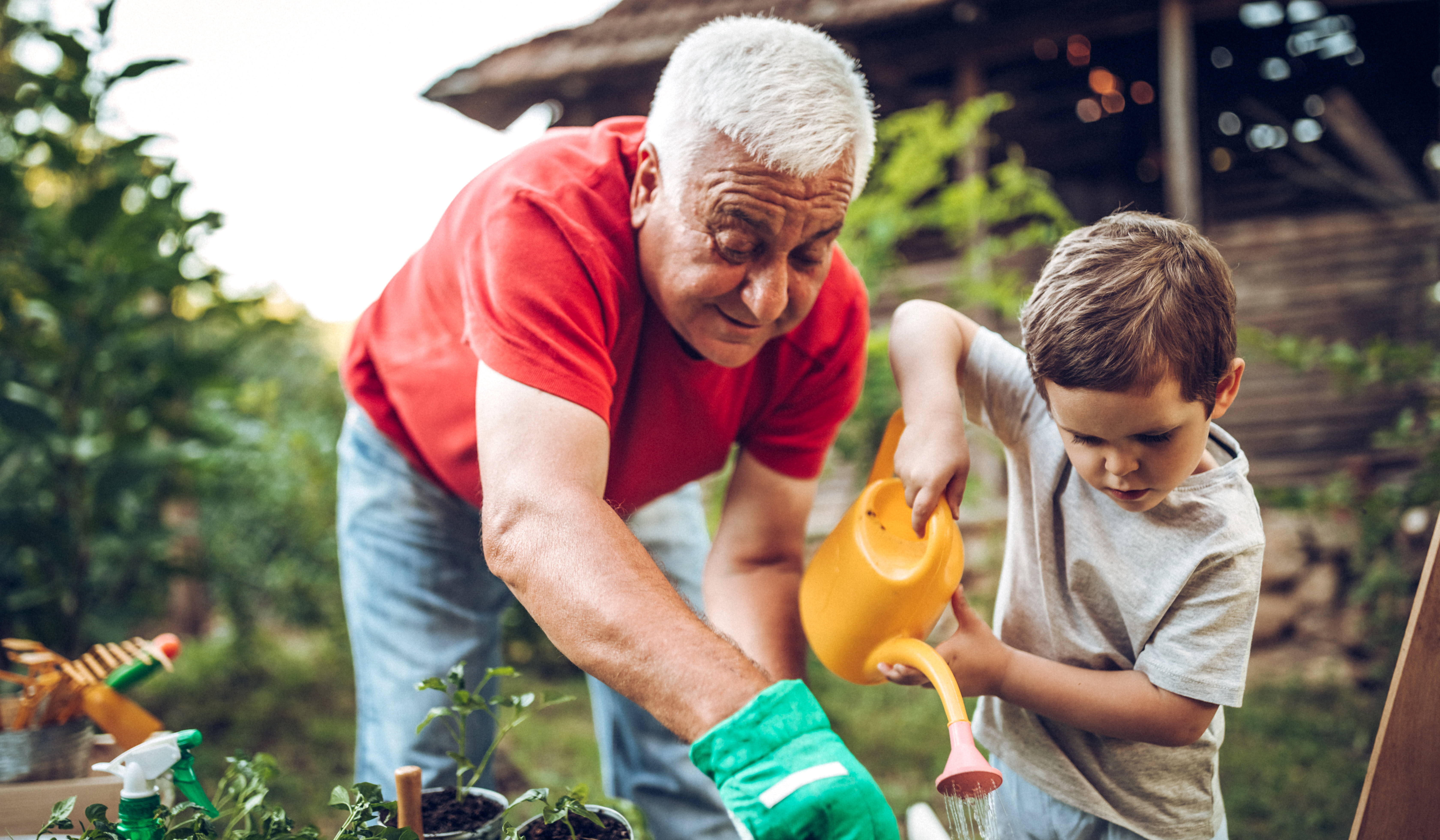 Ein älterer Mann hilft einem jungen Kind mit konzentriertem Blick in einem Garten mit einer Gießkanne Blumen zu gießen. Der Mann beugt sich herab und zeigt auf die Stelle, die das Kind gießen soll. Eclipse Images via Getty Images
