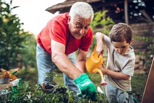 Großvater und Enkel pflegen einen Garten und gießen Blumen zusammen. Eclipse Images via Getty Images
