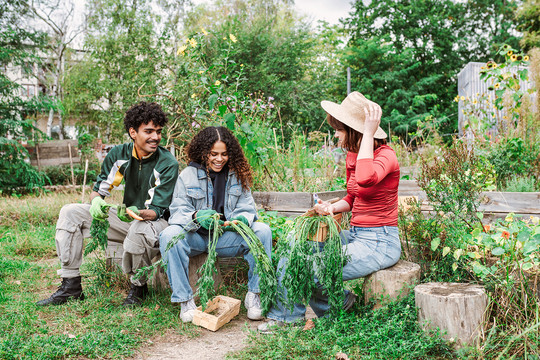 Drei junge Personen sitzen in einem urbanen Stadtgarten und sprechen miteinander Foto: GettyImages/golero